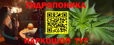 ECSTASY Кингисепп