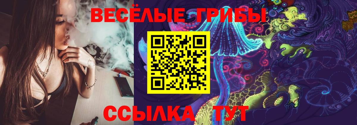Псилоцибиновые грибы Psilocybe  Галлюциногенные грибы Cubensis  Вход с VPN  Чапаевск 